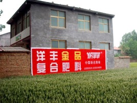 于都如何让墙体广告展现最大化效果